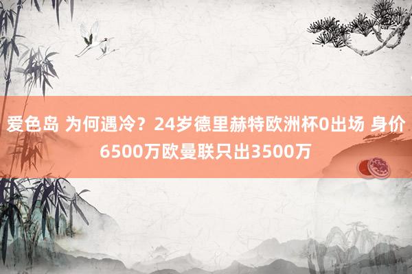 爱色岛 为何遇冷?24岁德里赫特欧洲杯0出场 身价6500万欧曼联只出3500万