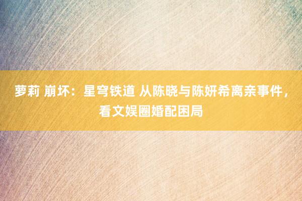 萝莉 崩坏：星穹铁道 从陈晓与陈妍希离亲事件，看文娱圈婚配困局