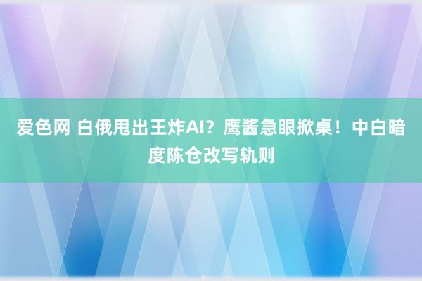 爱色网 白俄甩出王炸AI？鹰酱急眼掀桌！中白暗度陈仓改写轨则