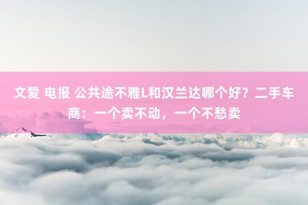 文爱 电报 公共途不雅L和汉兰达哪个好？二手车商：一个卖不动，一个不愁卖