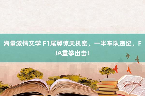 海量激情文学 F1尾翼惊天机密，一半车队违纪，FIA重拳出击！