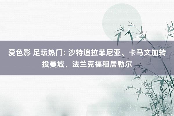 爱色影 足坛热门: 沙特追拉菲尼亚、卡马文加转投曼城、法兰克福租居勒尔