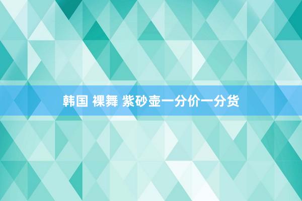 韩国 裸舞 紫砂壶一分价一分货