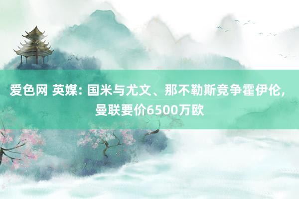 爱色网 英媒: 国米与尤文、那不勒斯竞争霍伊伦, 曼联要价6500万欧