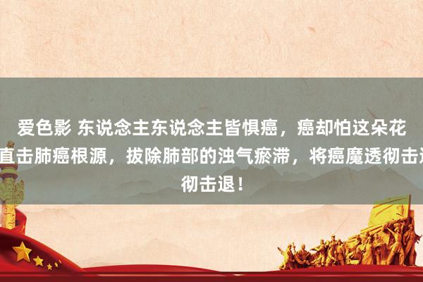 爱色影 东说念主东说念主皆惧癌，癌却怕这朵花！直击肺癌根源，拔除肺部的浊气瘀滞，将癌魔透彻击退！