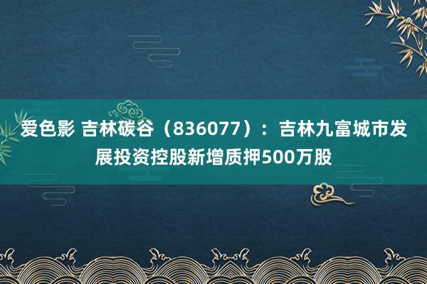 爱色影 吉林碳谷（836077）：吉林九富城市发展投资控股新增质押500万股